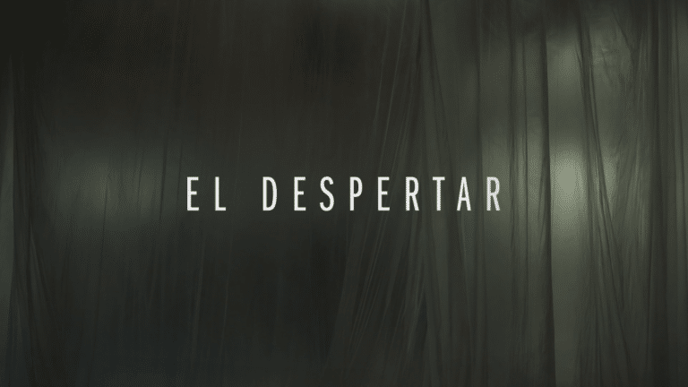 EL DESPERTAR, Serrería Belga 7